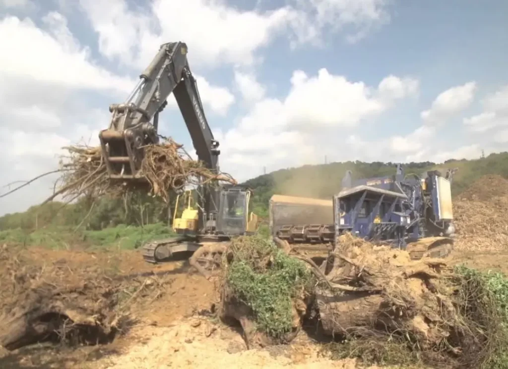Excavator clearing vegetation.