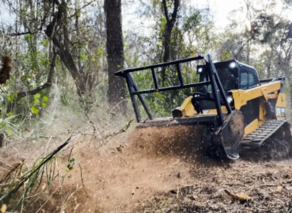 Heavy machinery clearing forest