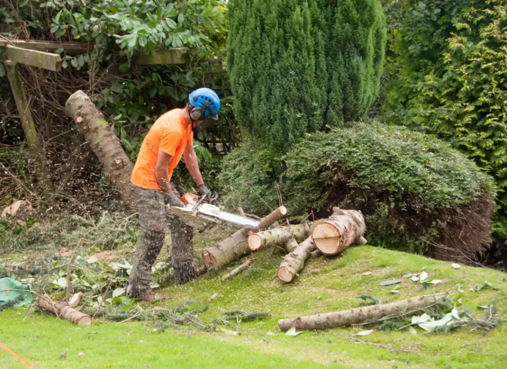 Man cutting tree trunk