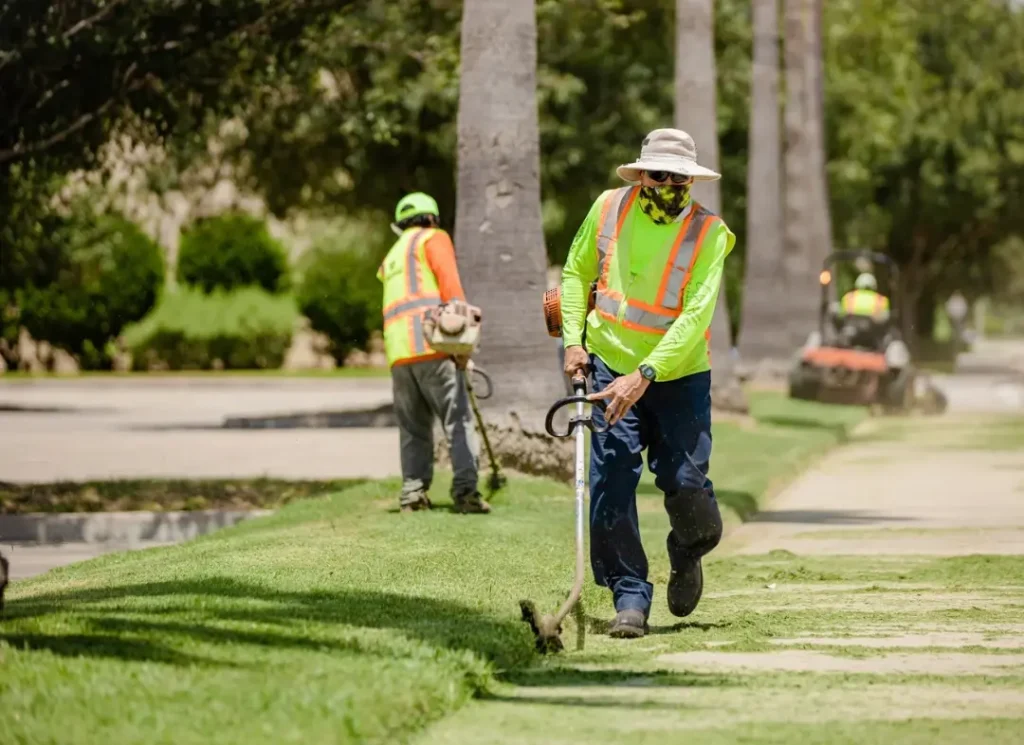 Landscapers aerating a lawn.
