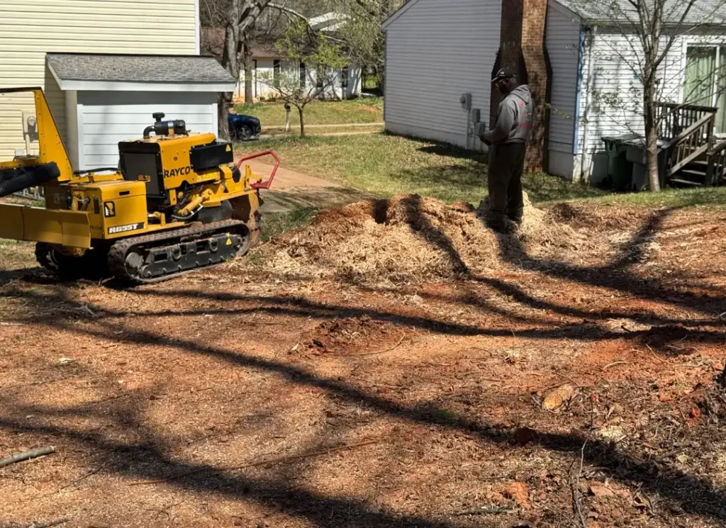 Expert Tree Removal Services in Stallings, NC