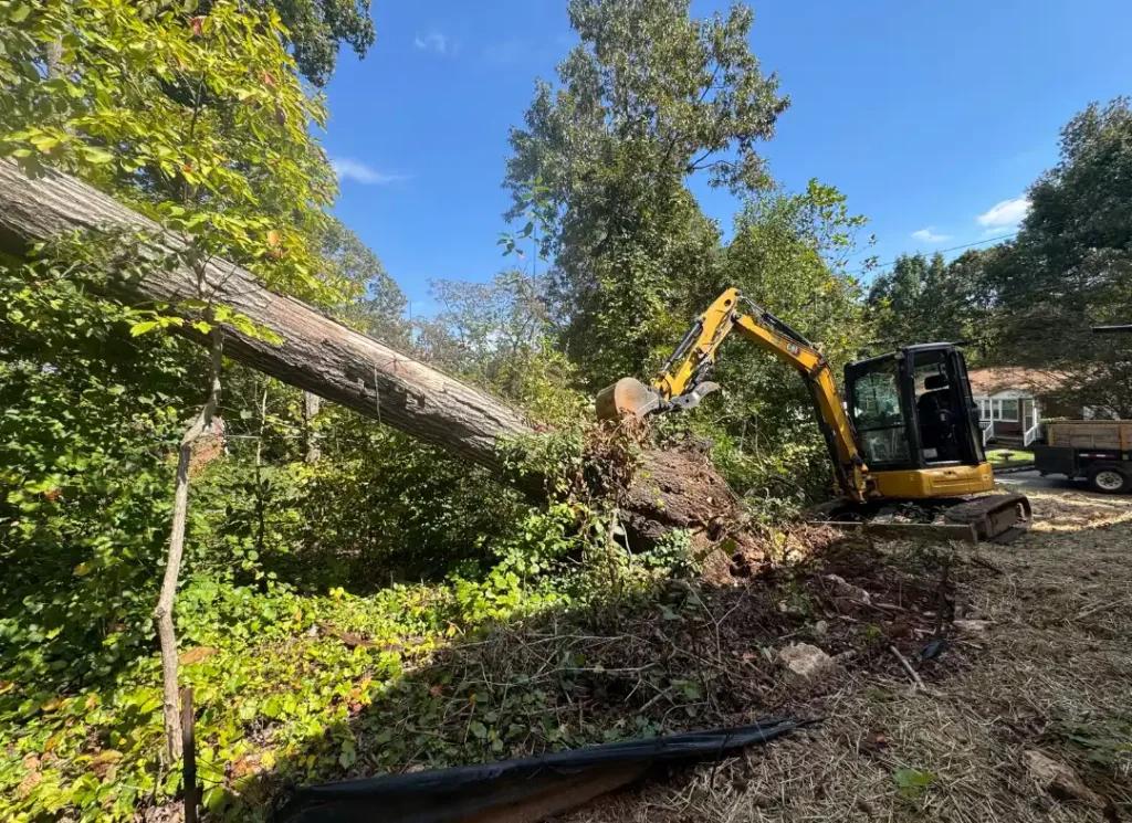 Trusted Tree Removal Services in Stallings, NC