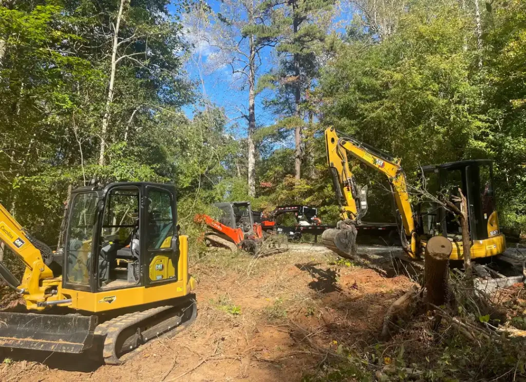 Reliable Tree Removal Services in Stallings, NC